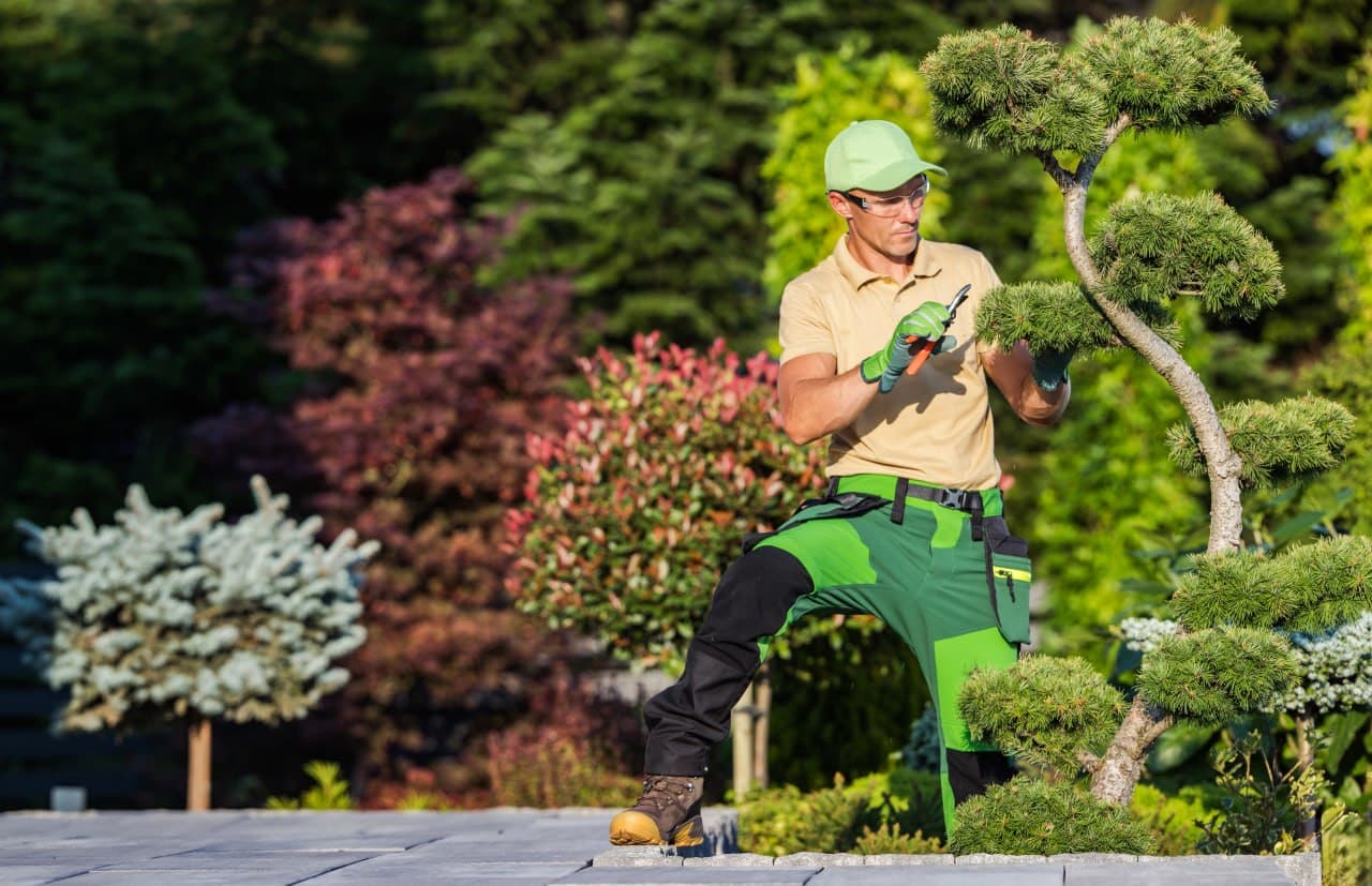 Aktuelles Gartenprojekt von SAMKO