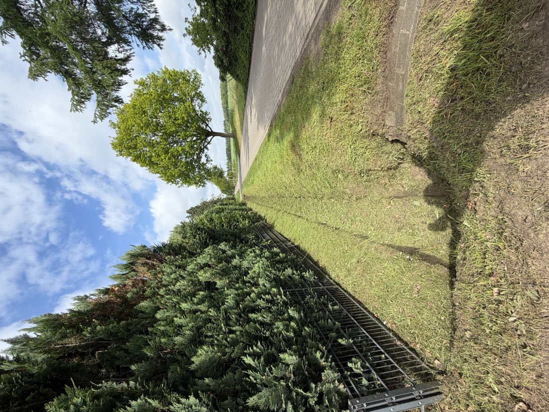 Straßenrand und Graben gemäht