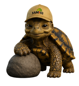 Bobby die Schildkröte