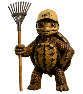 Bobby die Schildkröte