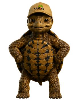 Bobby die Schildkröte
