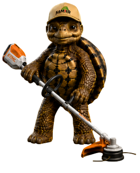 Bobby die Schildkröte