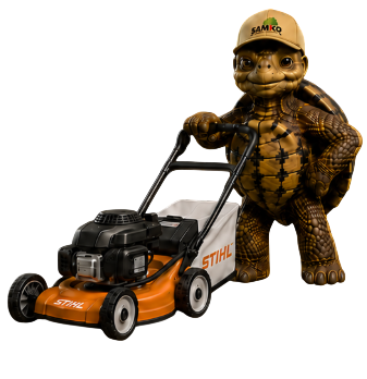Bobby die Schildkröte