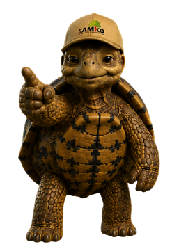 Bobby die Schildkröte